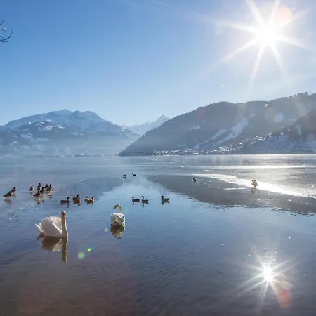 Dahoam By Sarina - Village Incl Zell Am - Kaprun Summercard * Zell am See